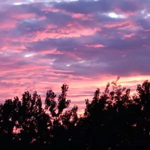 欧美Ⅴideoss大爆乳
