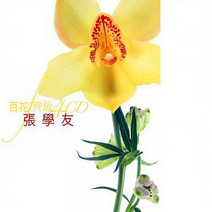 欧美Ⅴideoss大爆乳
