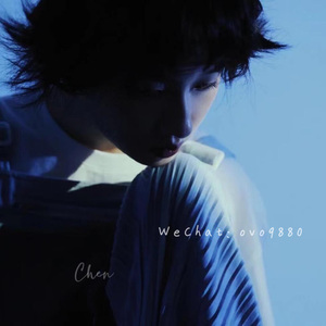 欧美Ⅴideoss大爆乳
